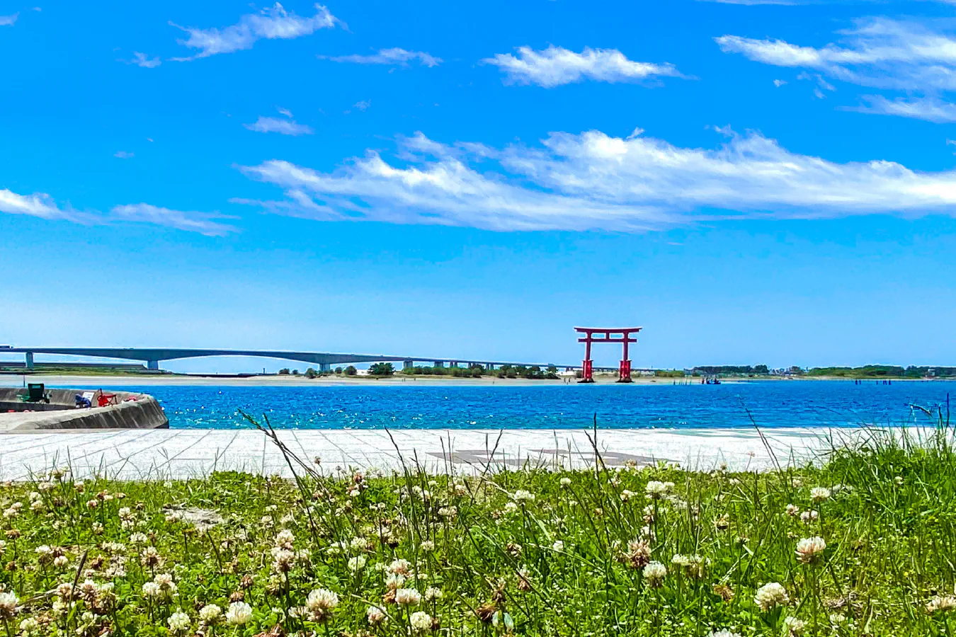 弁天島の大鳥居とクローバー